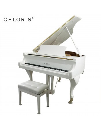 Piano 1/4 de queue CHLORIS...